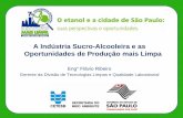 A Indústria Sucro-Alcooleira e as Oportunidades de ... Ribeiro.pdf · Fonte: AndréElia Neto, “água na Indústria da cana-de-açúcar”, In: Workshop PPP- Aspectos Ambientais