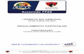 I PERÍCIA DO SABUGAL - motorguardaunida.files.wordpress.com · de acordo com o Código Desportivo Internacional da FIA (CDI) as Prescrições Gerais de Automobilismo e Karting 2017