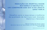 REDUÇÃO DA MORTALIDADE MATERNA E NEONATAL: UM …anvisa.gov.br/servicosaude/biss/2007/03_131207_apresenta.pdf · Pediátrica e Neonatal): em harmonização SAS/MS. Programa de Prevenção