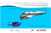 RELATÓRIO DE MONITORAMENTO DAS ÁGUAS ... - ufjf.br · qualidade das Águas superficiais no estado de minas gerais em 2004 relatÓrio de monitoramento das Águas superficais na bacia