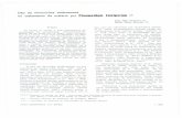 Impressão de fax em página inteira - Acta Amazonica · QUADRO 2 — Pacientes do Grupo buicão por idade e sexo. Idade (anos) —20 21—30 Uso da minociclina.