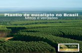Plantio de eucalipto no Brasil Mitos e verdades · sólida, 250 mil ha/ano para carvão vegetal e 80 mil ha/ano para energia. Verifica-se que a procura pelo produto florestal é maior