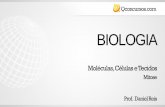 BIOLOGIA - qcon-assets-production.s3.amazonaws.com · Parede da formadoras da célula parental 1 urn Células-filhas (b) Formação da placa celular em uma célula vegetal. (MET).