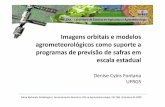 Imagens orbitais e modelos agrometeorológicoscomo suporte ... Redonda CBA 2009.pdf · Mesa Redonda: Modelagem, Sensoriamento Remoto e GIS na Agrometeorologia, XIII CBA, Setembro