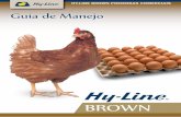 Baixe o Guia de Manejo da Hy-Line Brown aqui.hyline.tempsite.ws/hyline/download/manual_hyline_brown.pdf · Guia de Manejo BROWN. O potencial genético das Aves Comerciais da Linhagem