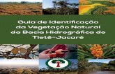 umário - .: Instituto Pró-Terra :....Também seguiu as orientações do Serviço Florestal Brasileiro que define que uma Floresta é “área de terra maior que 0,5 hectare, com