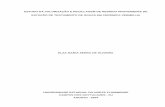 Monografia de Elza - Comunicação · “Tese de Doutorado submetida ao Centro de Ciência e Tecnologia da Universidade Estadual do Norte Fluminense, como parte dos requisitos necessários