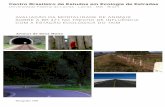 Centro Brasileiro de Estudos em Ecologia de Estradascbee.ufla.br/portal/imgs/imagesCMS/publicacao/pdf/26.pdf · áreas marginais à rodovia como uma unidade de conservação sob ...