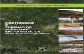 Francisco Irapuan Ribeiro · aspectos identitários regionais tais como as festas juninas, as ... realizadas ao longo da narrativa ... cartográfico e redação do ...