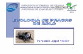 Ecologia de pragas de solo - ufpel.edu.br · Principais insetos-praga de solo no Brasil. 7 Gênero Diabrotica possui cerca de 338 espécies; Diabroticaspeciosa (Germar, 1824) predomina