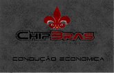 Guidelines for presentation - chipbras.com.brchipbras.com.br/downloads/direcaoeconomica.pdf · •Nas trocas de marchas, em aclive, acelere ... Faixa de advertência (C) ... Não