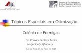 Tópicos Especiais em Otimização - ufjf.br · Otimização por Colônia de Formigas Marco Dorigo The first ACO system was introduced by Marco Dorigo in his Ph.D. thesis (1992),