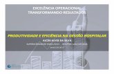 EXCELÊNCIA OPERACIONAL TRANSFORMANDO RESULTADOS · alceu alves da silva superintendente executivo -hosptal mÃe de deus maio de 2017. segurança do paciente ... 125 .0 0 130 .0 0