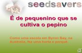 É de pequenino que se cultiva o pepino - gaia.org.pt · –Delimitar caminhos ... casca e na polpa: flavonóides e ácidos fenólicos ... – Fazer o download de Seed to Seed Food