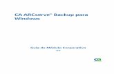 CA ARCserve® Backup para Windows - support.ca.com ARCserve Backup r16-PTB... · Faça backup dos sistemas de arquivos NTFS (Sistema de arquivos do Windows NT) e FAT (Tabela de alocação