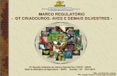 MARCO REGULATÓRIO - agricultura.gov.br@download/file/6.pdf · marco regulatÓrio - obstruÇÕes aos trabalhos do gt de criadouros - abrase associaÇÃo brasileira de criadores e