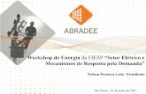 Workshop de Energia da FIESP “Setor Elétrico e Mecanismos ...az545403.vo.msecnd.net/uploads/2017/06/nelson-leite-.pdf · –A sociedade, pois o uso mais eficiente da energia diminuirá