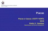 Considerações acerca da configuração - webx.ubi.ptwebx.ubi.pt/~pgamboa/pessoal/10377/apontamentos/02_placas.pdf · Departamento de Ciências Aeroespaciais 10 Pedro V. Gamboa 1.