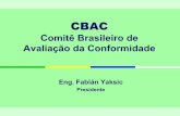 Comitê Brasileiro de Avaliação da Conformidadeinmetro.gov.br/noticias/eventos/Palestras_Enor/Fabian.pdf · • Tintura para cabelo • Tubos de aço para condução e acessórios