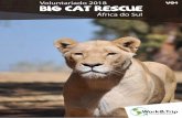 intercambiowt.com.brintercambiowt.com.br/multimidia/arquivos/8_ec49f9a554f3b1fd012c... · primeira classe, mas os candidatos ... O projeto Big Cat Rescue te oferece a oportunidade