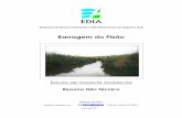 Empresa de Desenvolvimento e Infra-Estruturas do Alqueva, S.A.siaia.apambiente.pt/AIADOC/AIA1251/RNT1251.pdf · água ao nível pretendido, implicaria a inundação de áreas de maiores