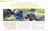Terapias com cavalos Um guia para a transformação interiorassociaçãokiron.com/wp-content/uploads/2015/08/Artigo-Os-cavalos... · no mundo das terapias. 54 ... naturais do cavalo