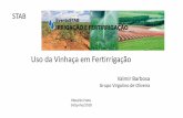 Uso da Vinhaça em Fertirrigação - stab.org.br · Vias biogeoquímicas para ciclagens de elementos na agroindústria da cana-de-açúcar. ... da água no ecossistema e manutenção