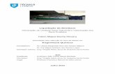 Liquefação de Resíduos - Técnico Lisboa · Liquefação de Resíduos Otimização de Unidade Semi-Industrial e Valorização dos ... nas normas do fuelóleo nacional, gasóleo