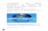 Índice:homepage.ufp.pt/.../HPSA/2010_2011/Amarilde_Rute.docx · Web viewTratamento de águas residuais na região do Porto e os seus efeitos na Saúde Pública. Higiene Pública