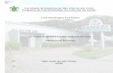 Faculdade de Medicina de São José do Rio Preto Programa de ...bdtd.famerp.br/bitstream/tede/80/1/luisdomingosfornitano_tese.pdf · Faculdade de Medicina de São José do Rio Preto