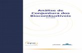 Análise de Conjuntura dos Biocombustíveis - Geselgesel.ie.ufrj.br/app/webroot/files/IFES/BV/epe40.pdf · Análise de Conjuntura dos Biocombustíveis Ministério de Minas e Energia