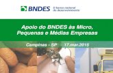 Apoio do BNDES às Micro, Pequenas e Médias Empresas · Apoio do BNDES às Micro, Pequenas e Médias Empresas Campinas - SP 17.mar.2015 . ... Legislação ambiental; ... Escolha