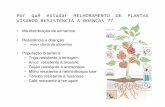 Por quê estudar MELHORAMENTO DE PLANTAS VISANDO ... · – Feijão resistente à antracnose ... • Melhoramento para resistência a doenças ⇓ MIP - Manejo Integrado de Pragas
