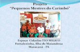Projeto - casadopatrimoniopa.files.wordpress.com · Projeto “Pequenos Mestres do Carimbó” ... como patrimônio imaterial brasileiro, através da participação ativa nas ações