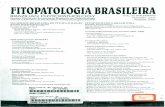 FITOPATOLOGIA BRASILEIRA - ainfo.cnptia.embrapa.brainfo.cnptia.embrapa.br/digital/bitstream/item/185703/1/S8495e.pdf · FITOPATOLOGIA BRASILEIRA BRAZILIANPHYTOPATHOLOGY RevistaOficial