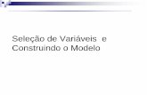 Seleção de Variáveis e Construindo o Modelo - cin.ufpe.brrmcrs/PRED/SelecaoVariaveis.pdf · liberdade do resíduo, soma de quadrados do erro, e o coeficiente de determinação.