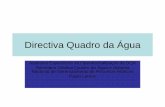 Directiva Quadro da Águaarquivos.ana.gov.br/imprensa/eventosprojetos/20110511_Directiva... · utilização e aumenta a pressão sobre a qualidade da água e os ... que não tenha