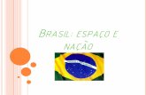 Brasil: espaço e nação · O país é dividido em grandes complexos ... a maior parte do PIB brasileiro . ... setor agropecuário IV.