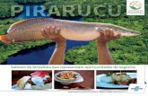 Brasília (DF) - riodocepeixes.com.brriodocepeixes.com.br/pfd/pirarucu.pdf · constitui violação dos direitos autorais ... Alimentação É um peixe ... camarões de água doce,