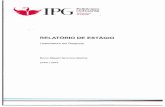 TPG folitécnico daiGuarda - bdigital.ipg.ptbdigital.ipg.pt/dspace/bitstream/10314/2600/1/Bruno Martins... · cardiovascular e de musculação de última geração (Technogym, serviços