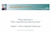Mesa-Redonda 5 IACS experiências internacionais Angola ... · Septicemia Leptospirose. CSE Localização da CCI no organograma . Comissão de controlo da infecção ... Colaboração