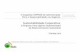 CL Sust Corp COPPEAD (7out04) - FBDS - Fundação ... · McDonald's do Brasil, Banco Real ABN AMRO, Usiminas) 7 de outubro de 2004. 11 Sustentabilidade Corporativa ... Estudo de Caso
