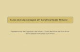 Curso de Especialização em Beneficiamento Mineral didatico/Modulo 5 - OP - gemas.pdf · •No sul do Brasil encontram-se as maiores jazidas ... diamantes no Arraial do Tejuco –Serro