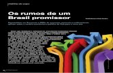 Os rumos de um Brasil promissor - ricamconsultoria.com.br · se apresentar como o próximo país a ... suas dívidas públicas e/ou forem forçados ... equacionar definitivamente