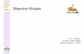 Digestor Biogás - tamera.org · biogás é produzido, o tanque interior enche-se com gás e projeta-se para fora do tanque exterior. Conforme o biogás é removido para utilização,