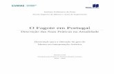 O Fagote em Portugalrecipp.ipp.pt/bitstream/10400.22/9674/1/DM_PatriciaCosta_2012.pdf · mais pormenores e assuntos podem ser abordados e ... Outra das razões da escolha deste tema,