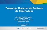 Programa Nacional de Controle da Tuberculoseportal.cfm.org.br/images/PDF/apresentacao_cfm_fernanda.pdf · •67 mil casos novos de TB diagnosticados •Cerca de 4,4 mil mortes por