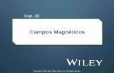Campos Magnéticos - fisica.ufpr.brfisica.ufpr.br/edilson/28_campos_magneticos.pdf · sistema de bobinas (não mostrado). ... Este Efeito Hall permite descobrir se os portadores de