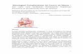 Abordagem Complementar ao Cancro Mama - Serge Jurasunassergejurasunas.com/wp-content/uploads/bsk-pdf-manager/2017/01/... · podem não só indicar pacientes de alto risco, como podem