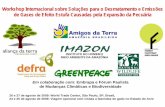 Soluções para o Desmatamento e Emissões de Gases de Efeito ... da Terra... · operações pecuárias e às crescentes demandas no Brasil e nos mercados globais por mecanismos que